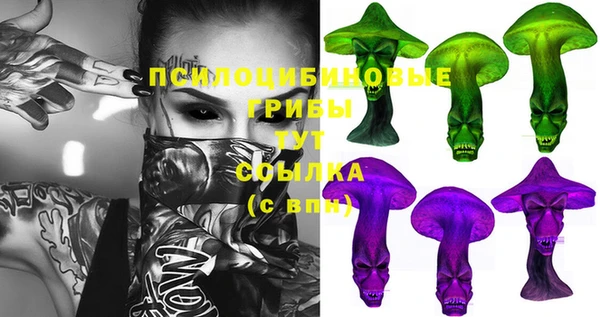 соль ск Галич