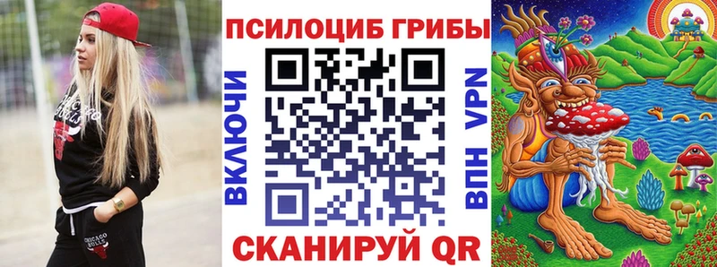 цена наркотик  Куйбышев  Псилоцибиновые грибы Psilocybe 