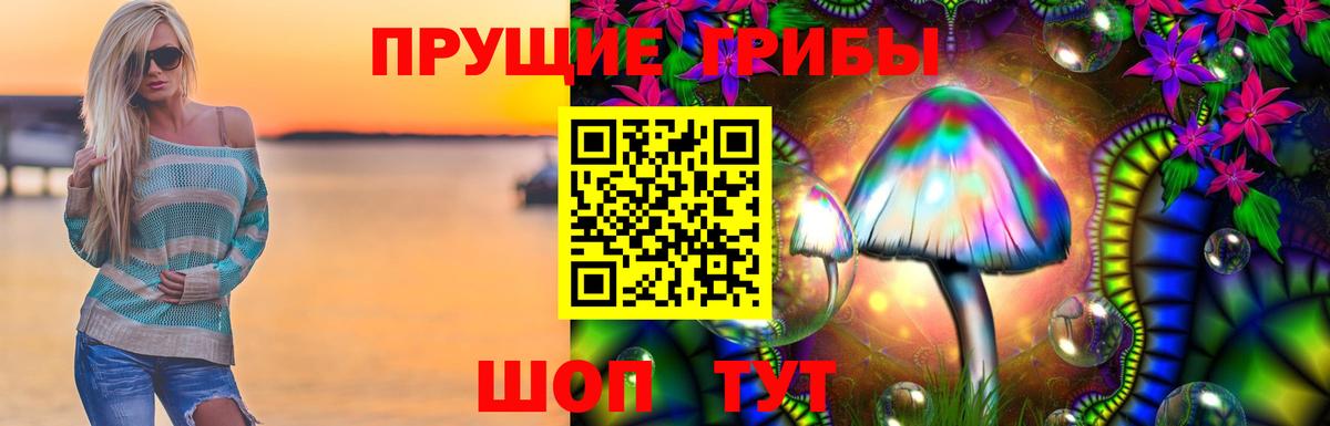 Куйбышев  Псилоцибиновые грибы ЛСД  Вход с VPN 